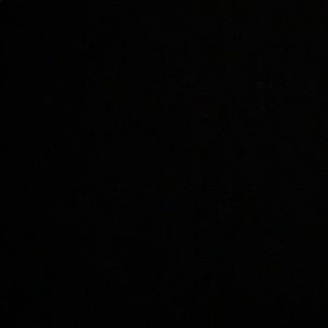 Meet your Posher, Dani